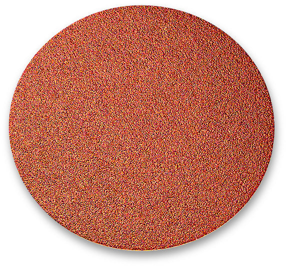 1919 siawood+ Ø125mm P60 (Pack of 50)