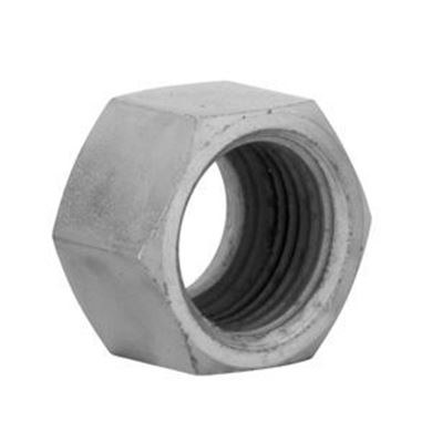 Union Nut 1/4" BSP